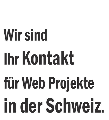 Swiss Web Marketing Kontakt